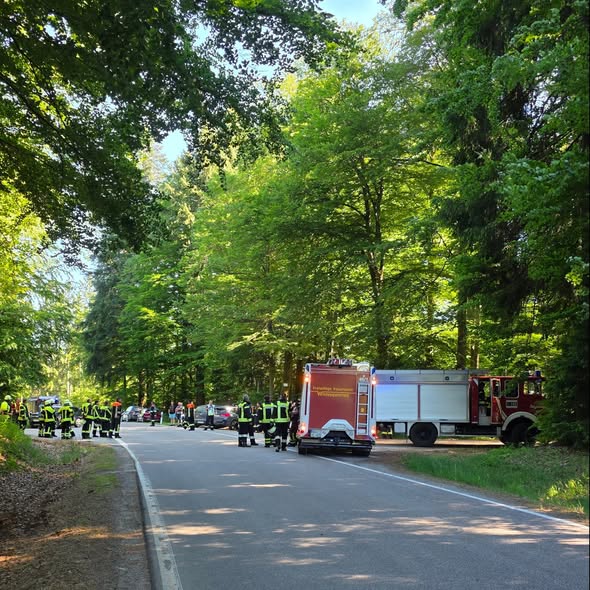 B 3 – Brand im Freien Wald